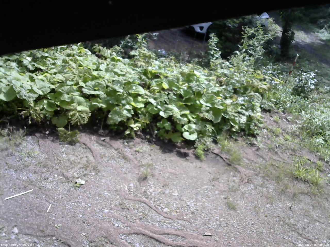 長野県菅平高原 ゆたか山荘 駐車場 2025/08/22 09:00