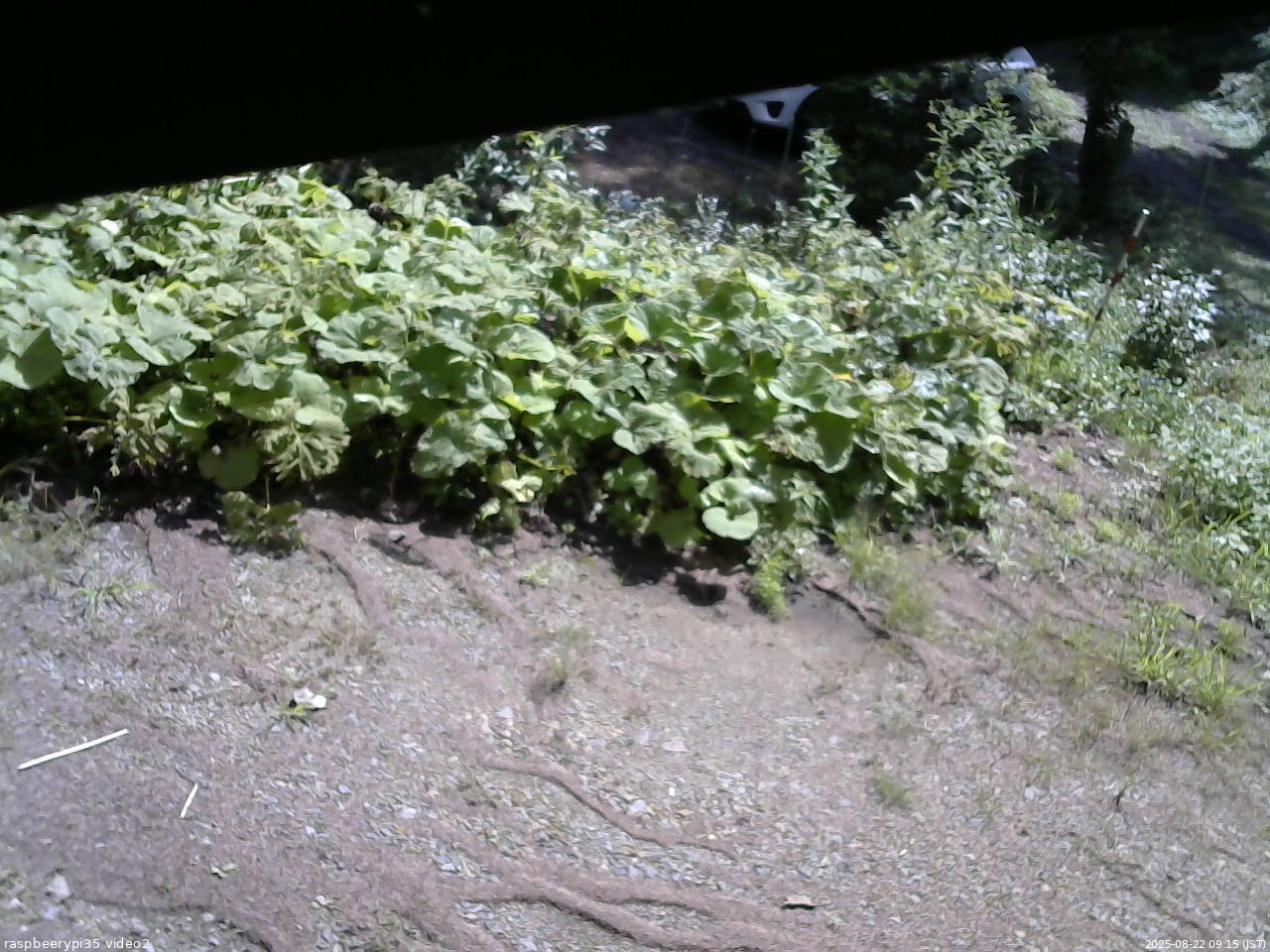 長野県菅平高原 ゆたか山荘 駐車場 2025/08/22 09:15