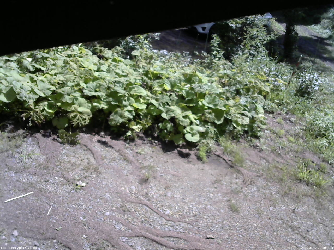 長野県菅平高原 ゆたか山荘 駐車場 2025/08/22 09:30