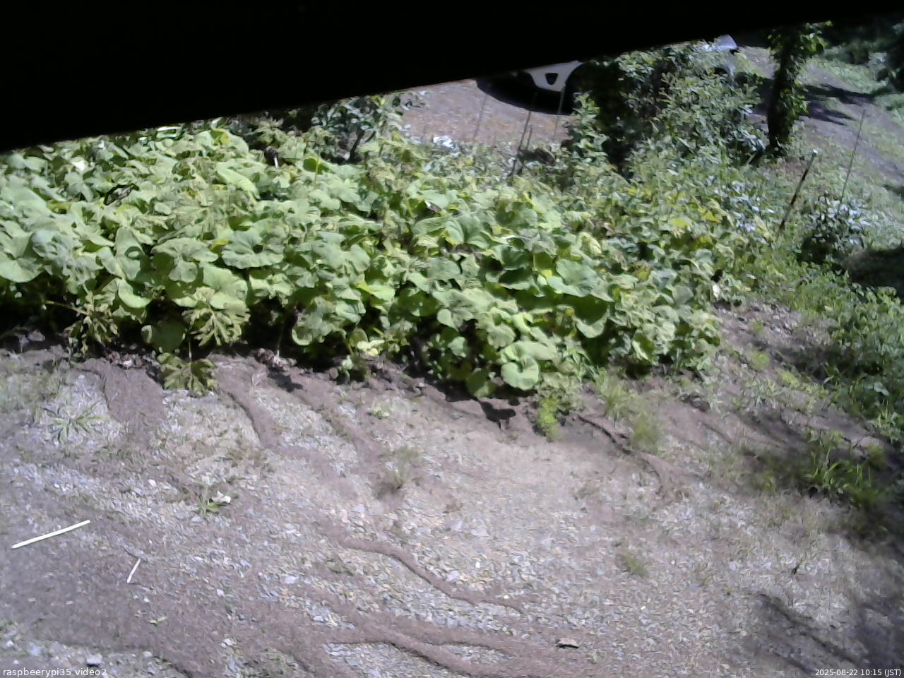 長野県菅平高原 ゆたか山荘 駐車場 2025/08/22 10:15