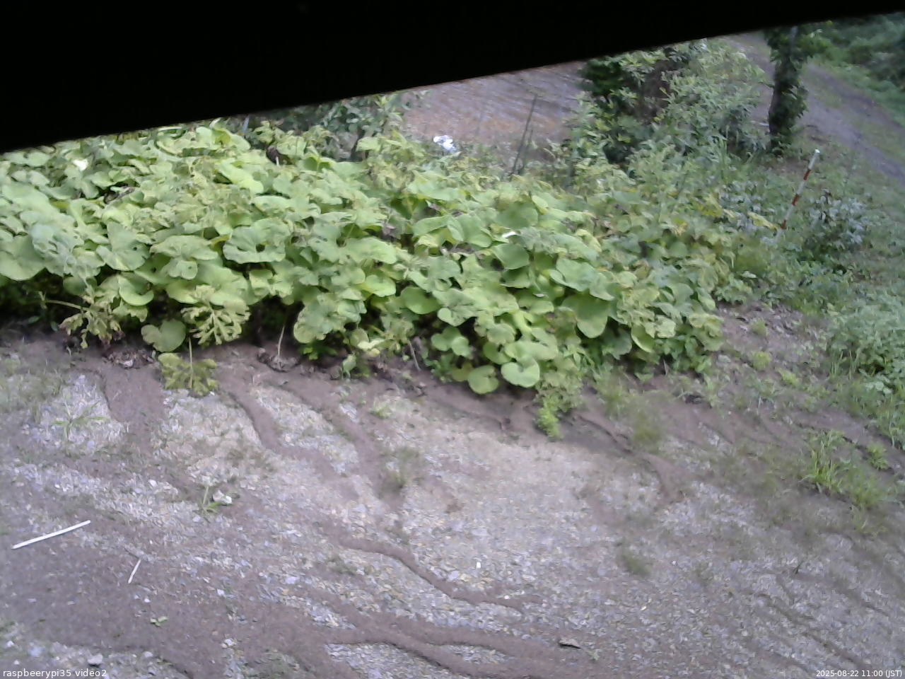 長野県菅平高原 ゆたか山荘 駐車場 2025/08/22 11:00
