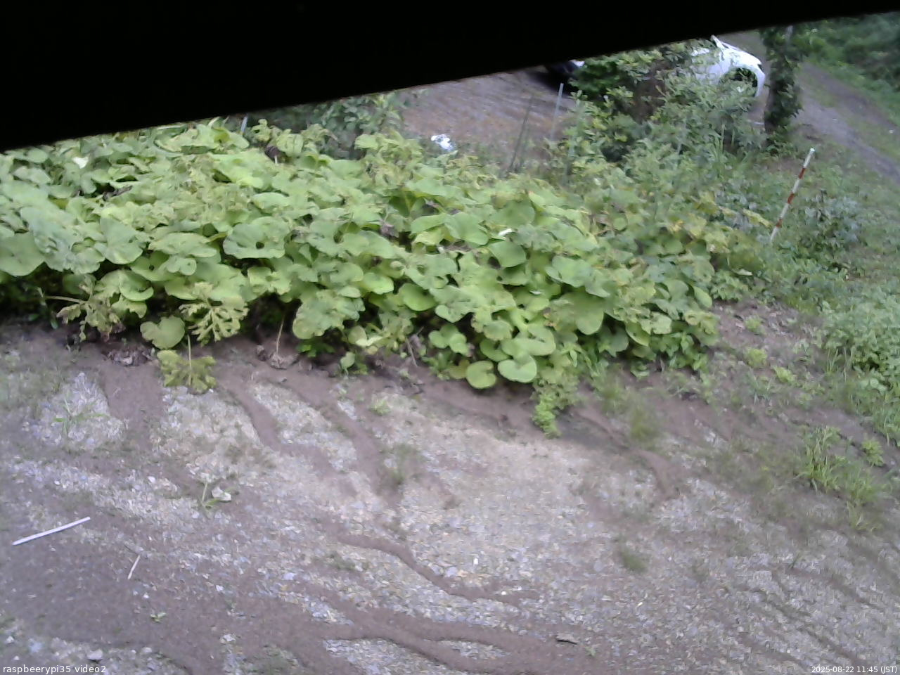 長野県菅平高原 ゆたか山荘 駐車場 2025/08/22 11:45