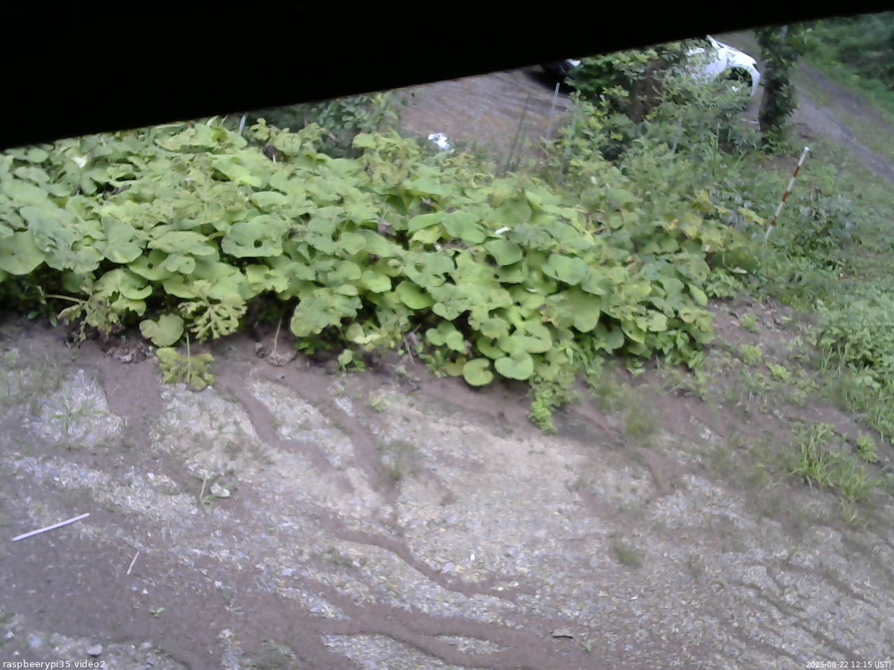 長野県菅平高原 ゆたか山荘 駐車場 2025/08/22 12:15