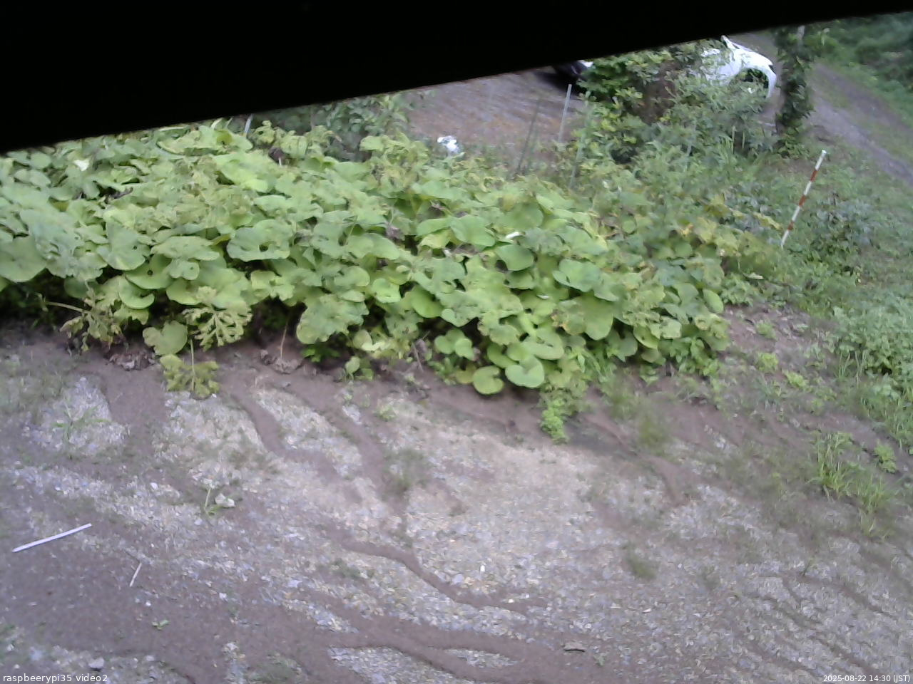 長野県菅平高原 ゆたか山荘 駐車場 2025/08/22 14:30