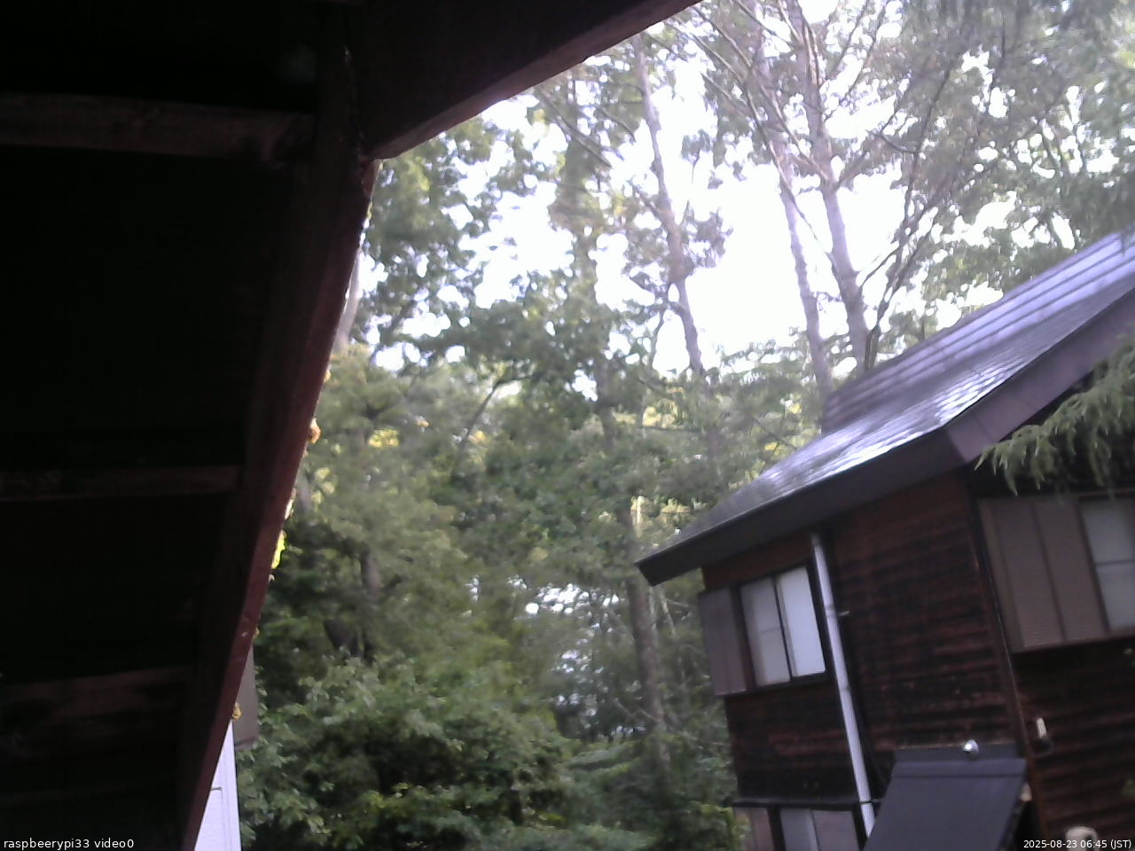 長野県菅平高原 ゆたか山荘 北側 2025/08/23 06:45