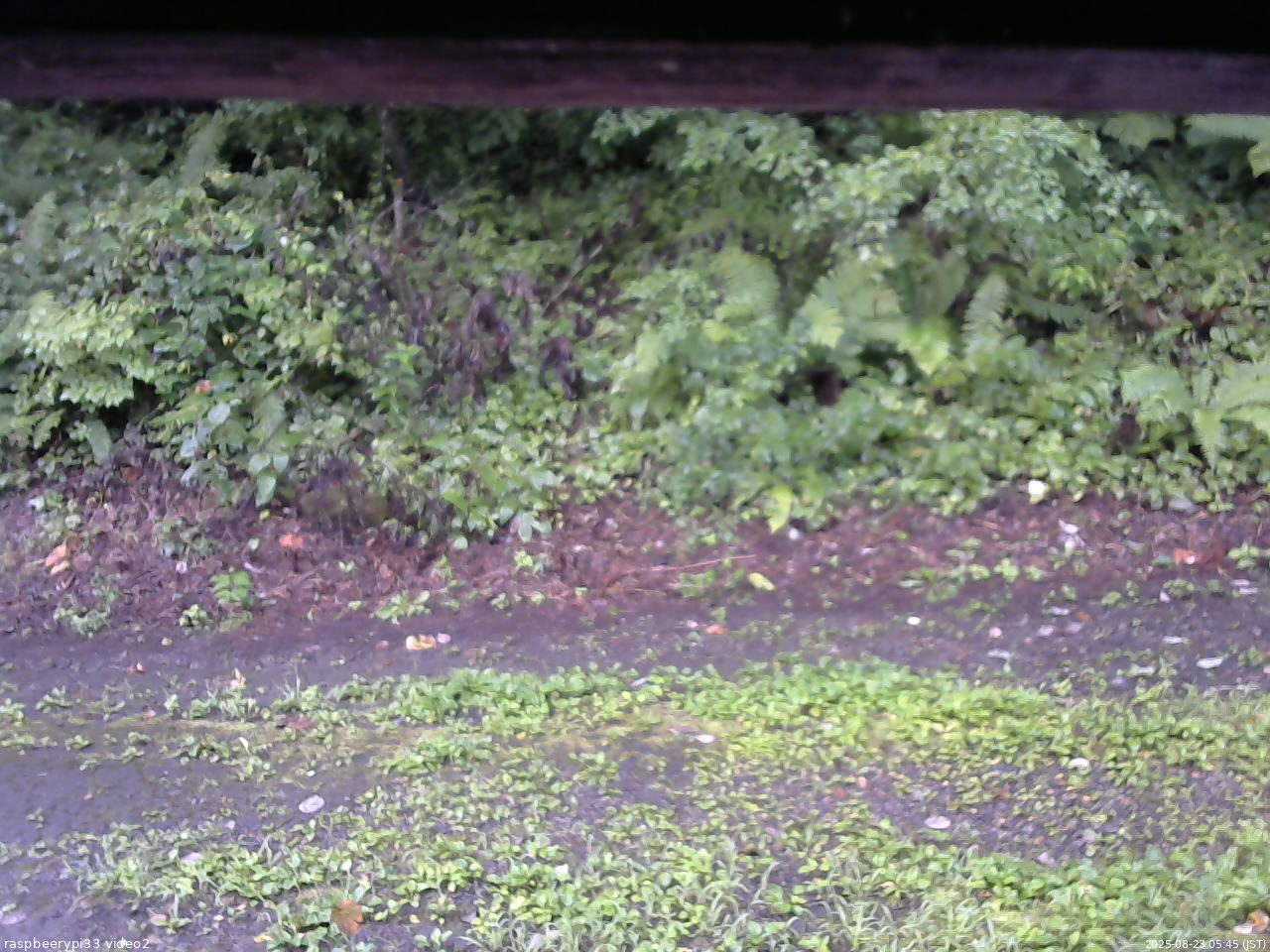 長野県菅平高原 ゆたか山荘 南側 2025/08/23 05:45