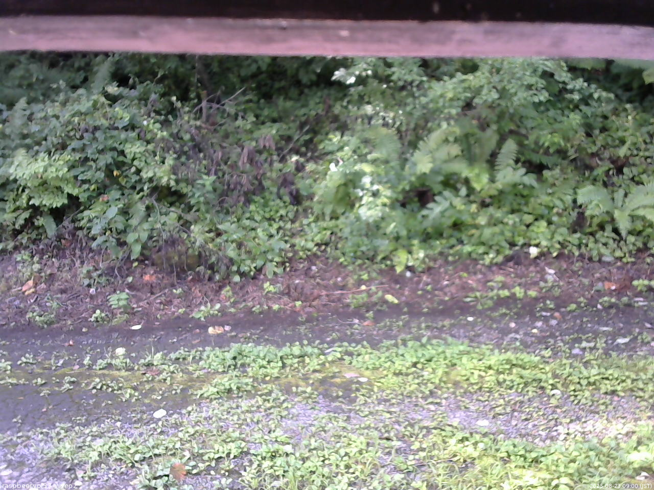 長野県菅平高原 ゆたか山荘 南側 2025/08/23 09:00