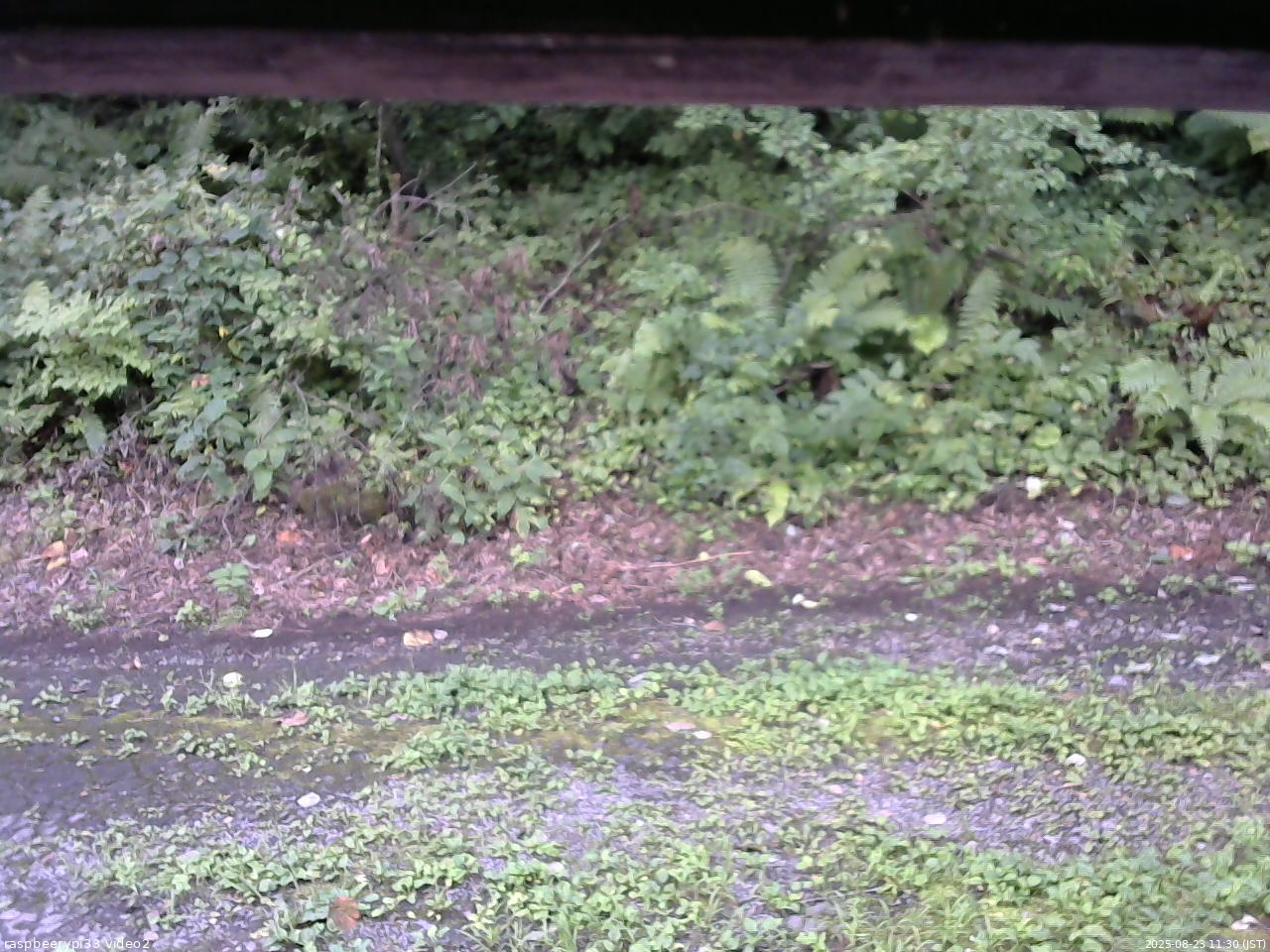 長野県菅平高原 ゆたか山荘 南側 2025/08/23 11:30