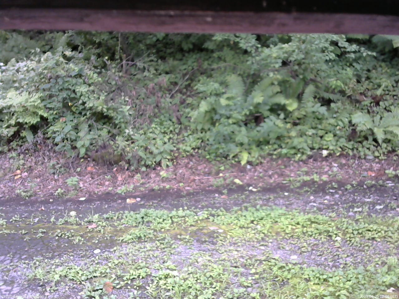 長野県菅平高原 ゆたか山荘 南側 2025/08/23 12:00