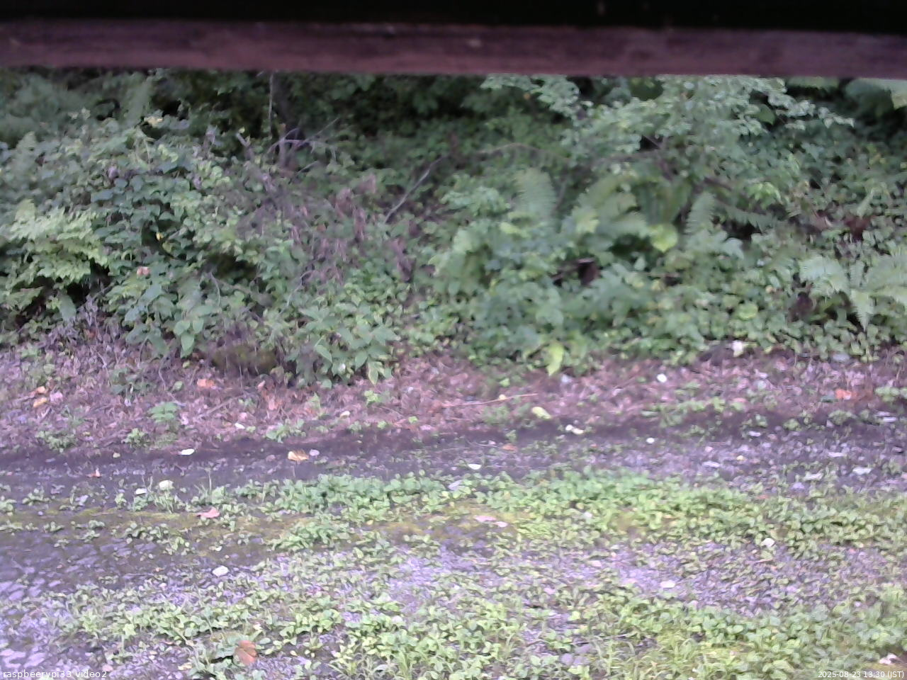 長野県菅平高原 ゆたか山荘 南側 2025/08/23 13:30