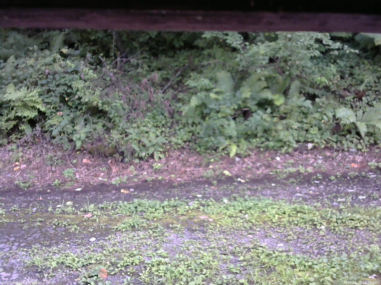 長野県菅平高原 ゆたか山荘 南側 2025/08/23 14:30