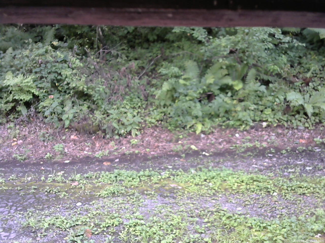 長野県菅平高原 ゆたか山荘 南側 2025/08/23 15:30