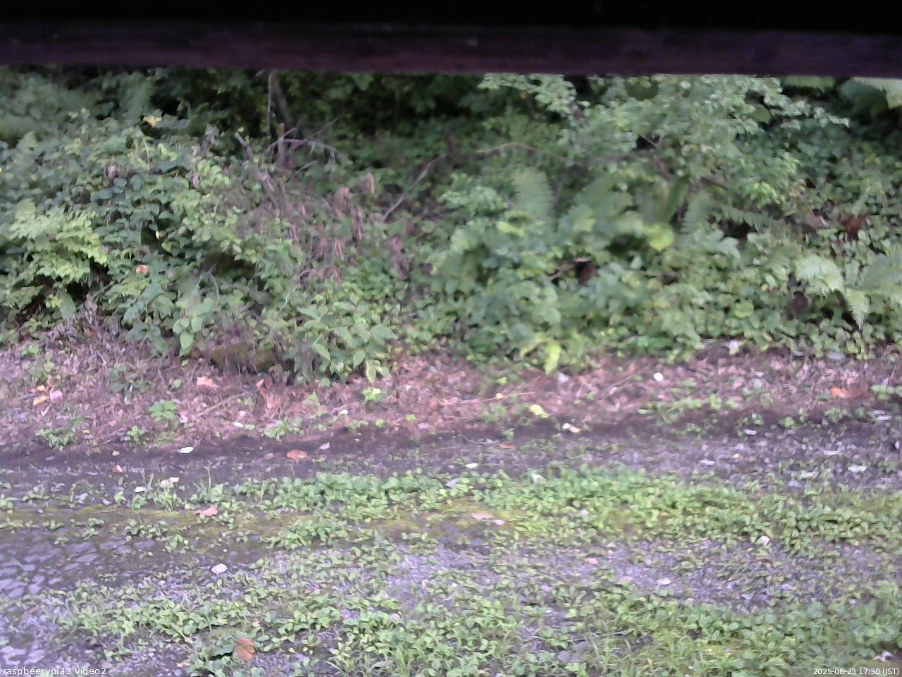 長野県菅平高原 ゆたか山荘 南側 2025/08/23 17:30