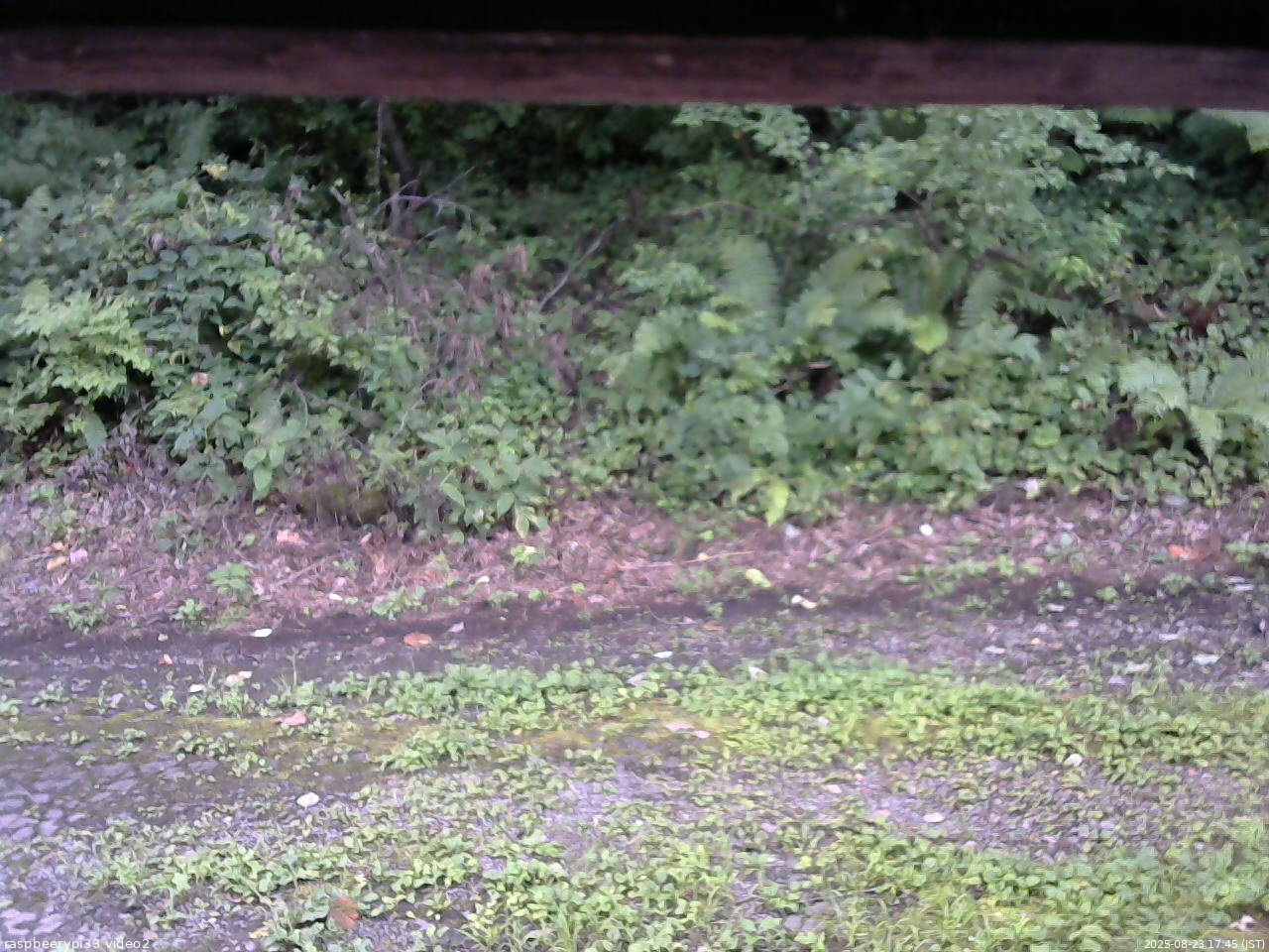 長野県菅平高原 ゆたか山荘 南側 2025/08/23 17:45