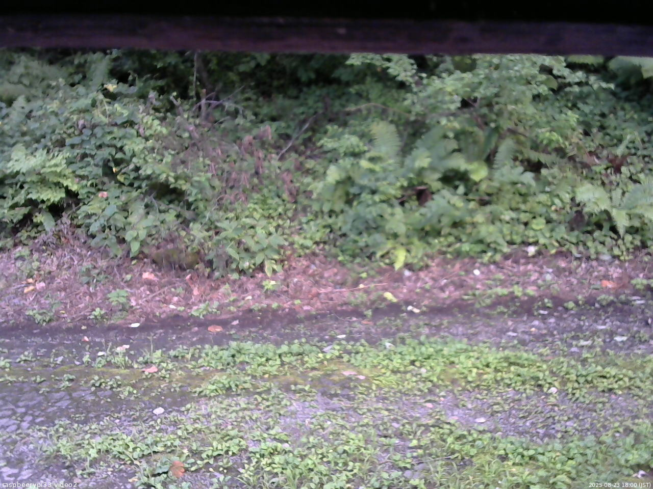 長野県菅平高原 ゆたか山荘 南側 2025/08/23 18:00