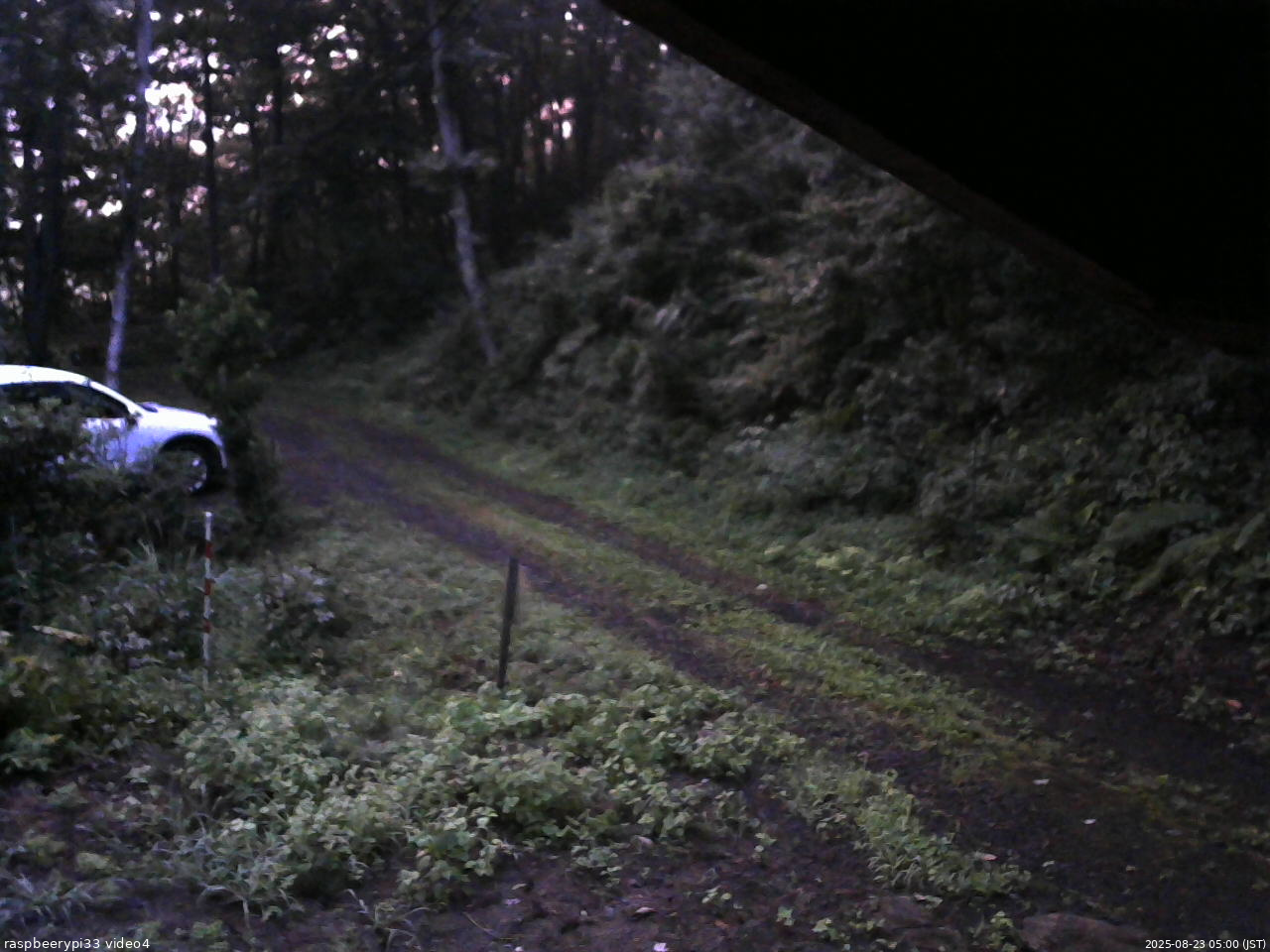 長野県菅平高原 ゆたか山荘 東側(坂下) 2025/08/23 05:00