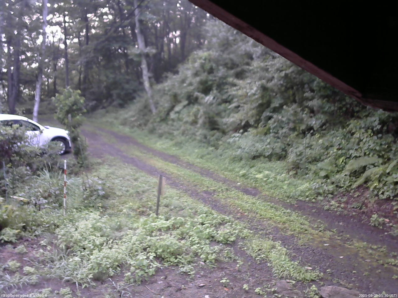 長野県菅平高原 ゆたか山荘 東側(坂下) 2025/08/23 05:30