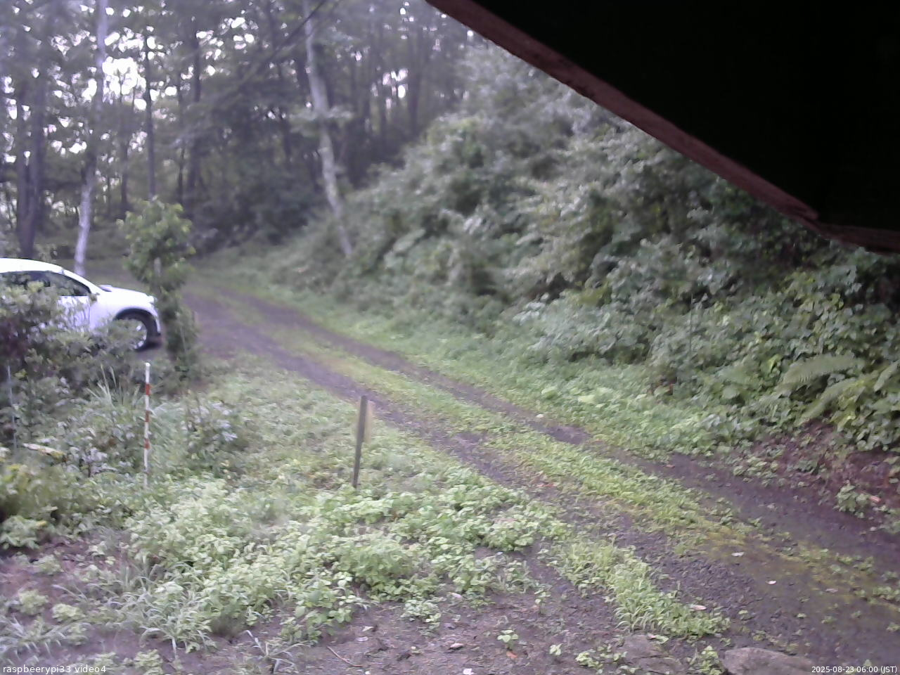 長野県菅平高原 ゆたか山荘 東側(坂下) 2025/08/23 06:00