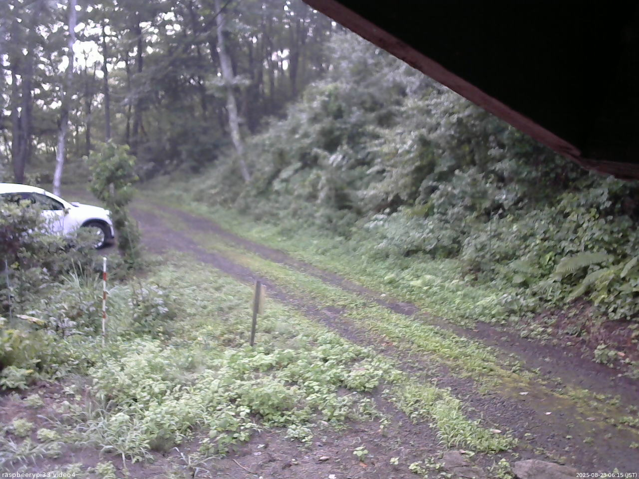 長野県菅平高原 ゆたか山荘 東側(坂下) 2025/08/23 06:15