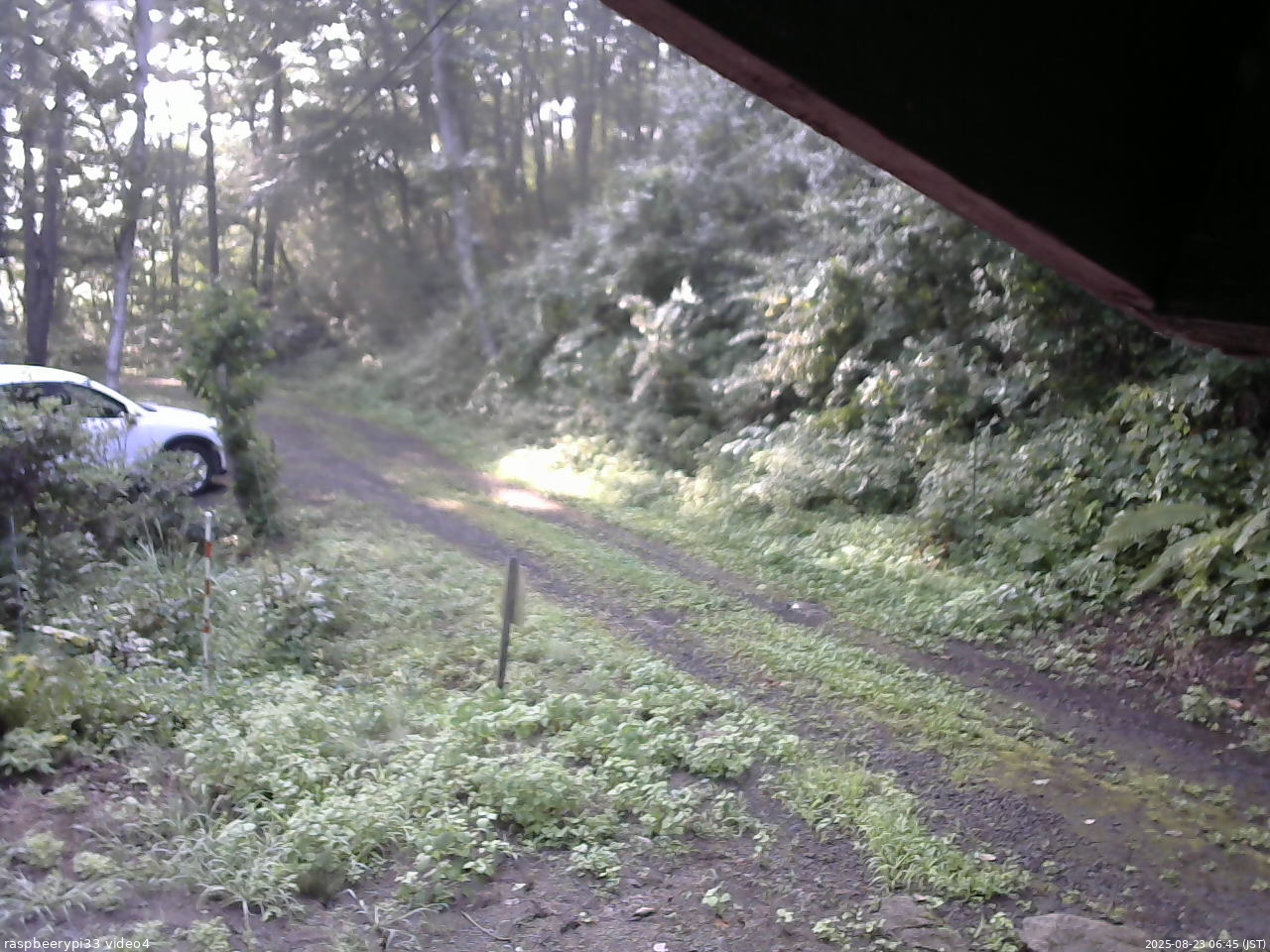 長野県菅平高原 ゆたか山荘 東側(坂下) 2025/08/23 06:45