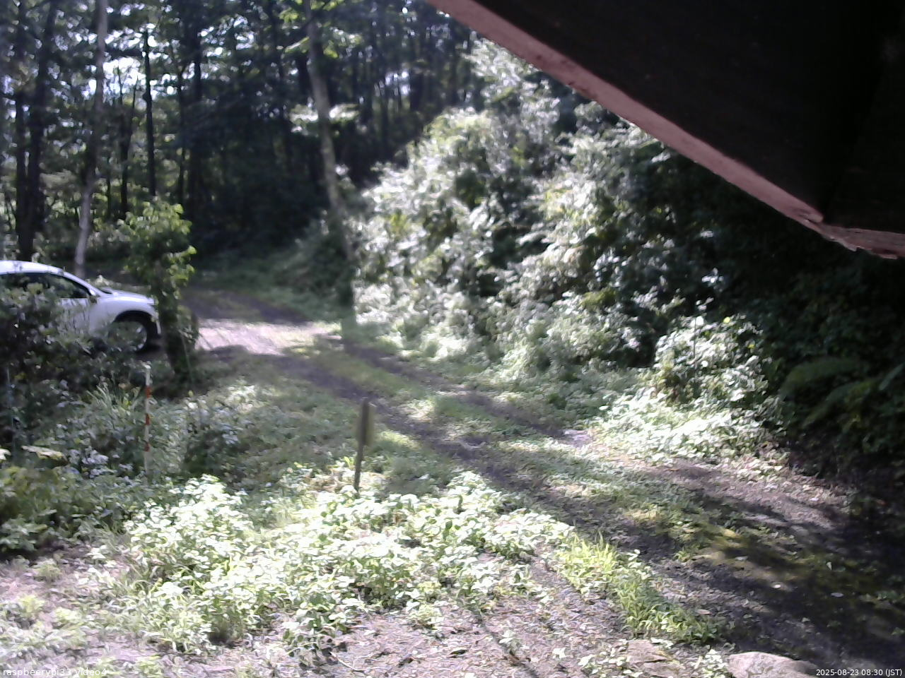 長野県菅平高原 ゆたか山荘 東側(坂下) 2025/08/23 08:30