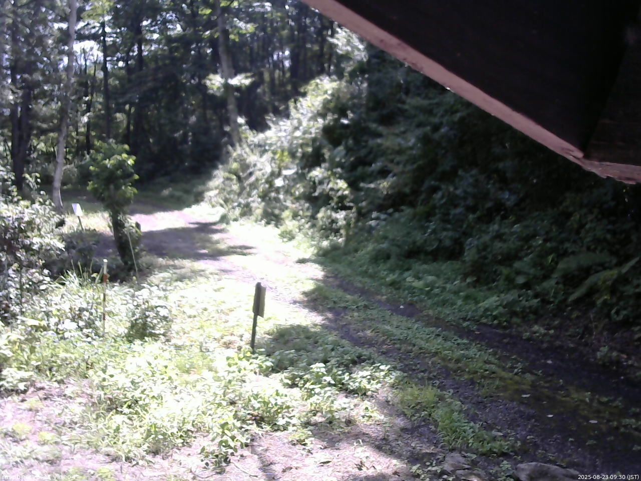 長野県菅平高原 ゆたか山荘 東側(坂下) 2025/08/23 09:30