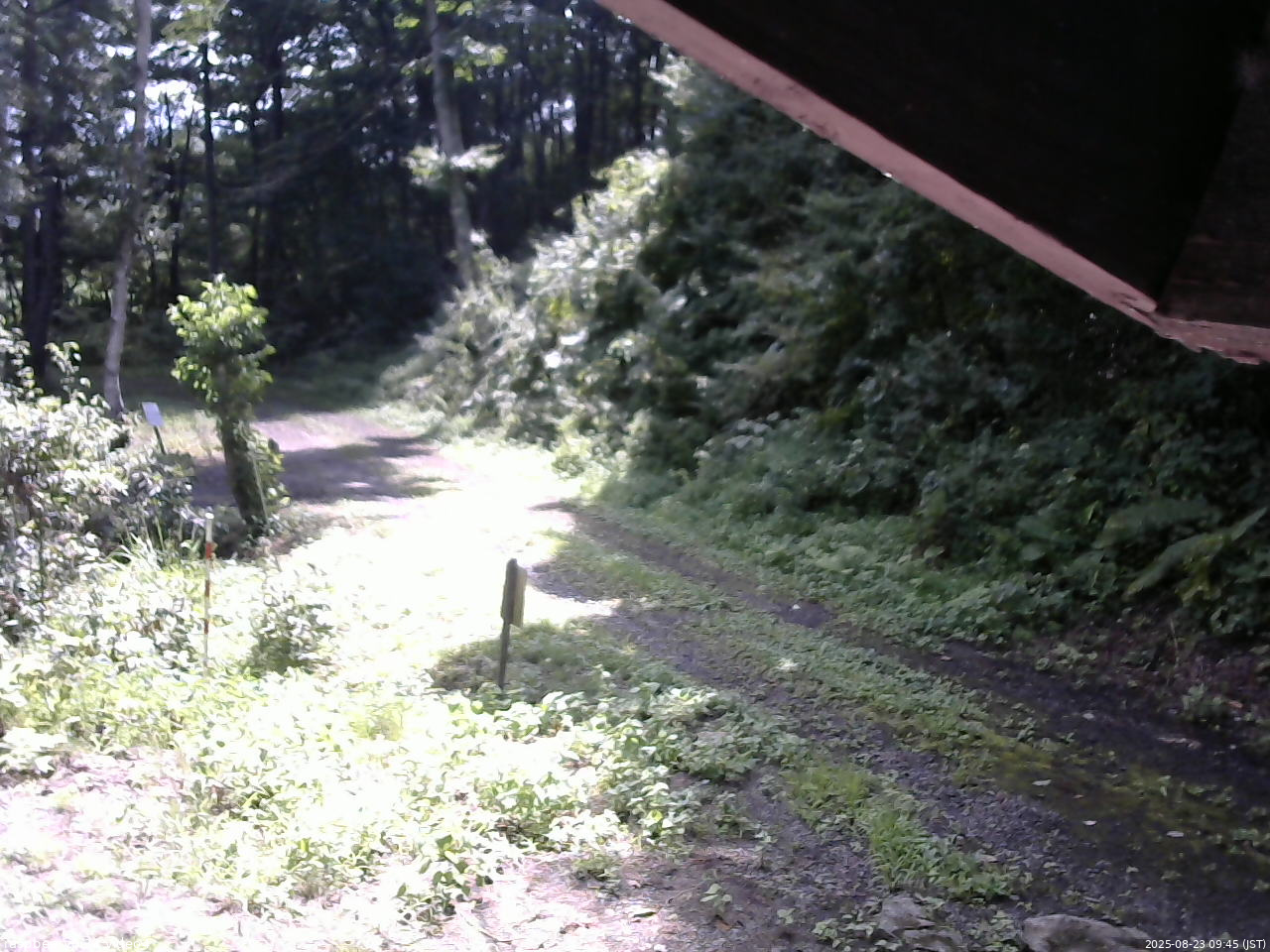 長野県菅平高原 ゆたか山荘 東側(坂下) 2025/08/23 09:45