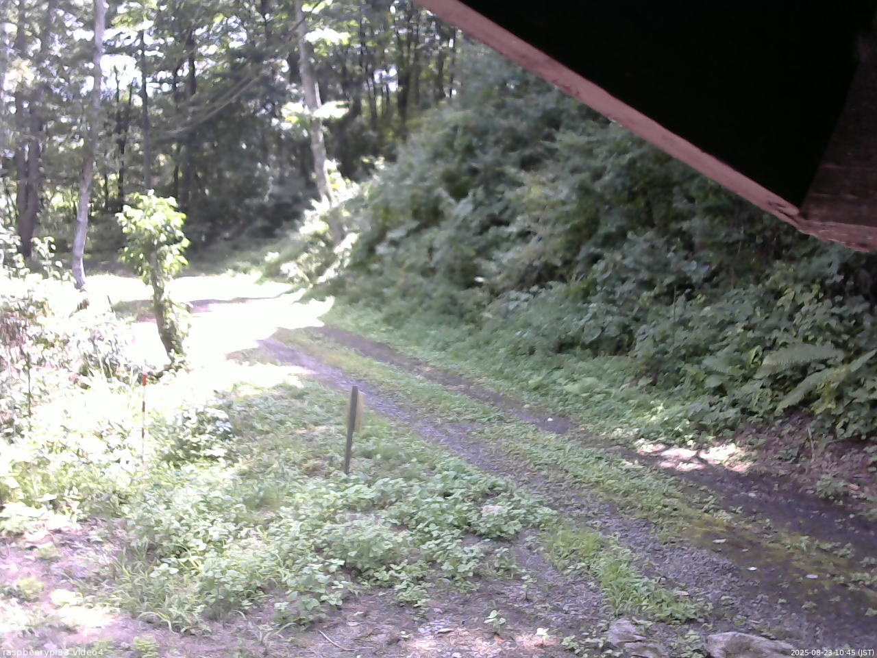 長野県菅平高原 ゆたか山荘 東側(坂下) 2025/08/23 10:45