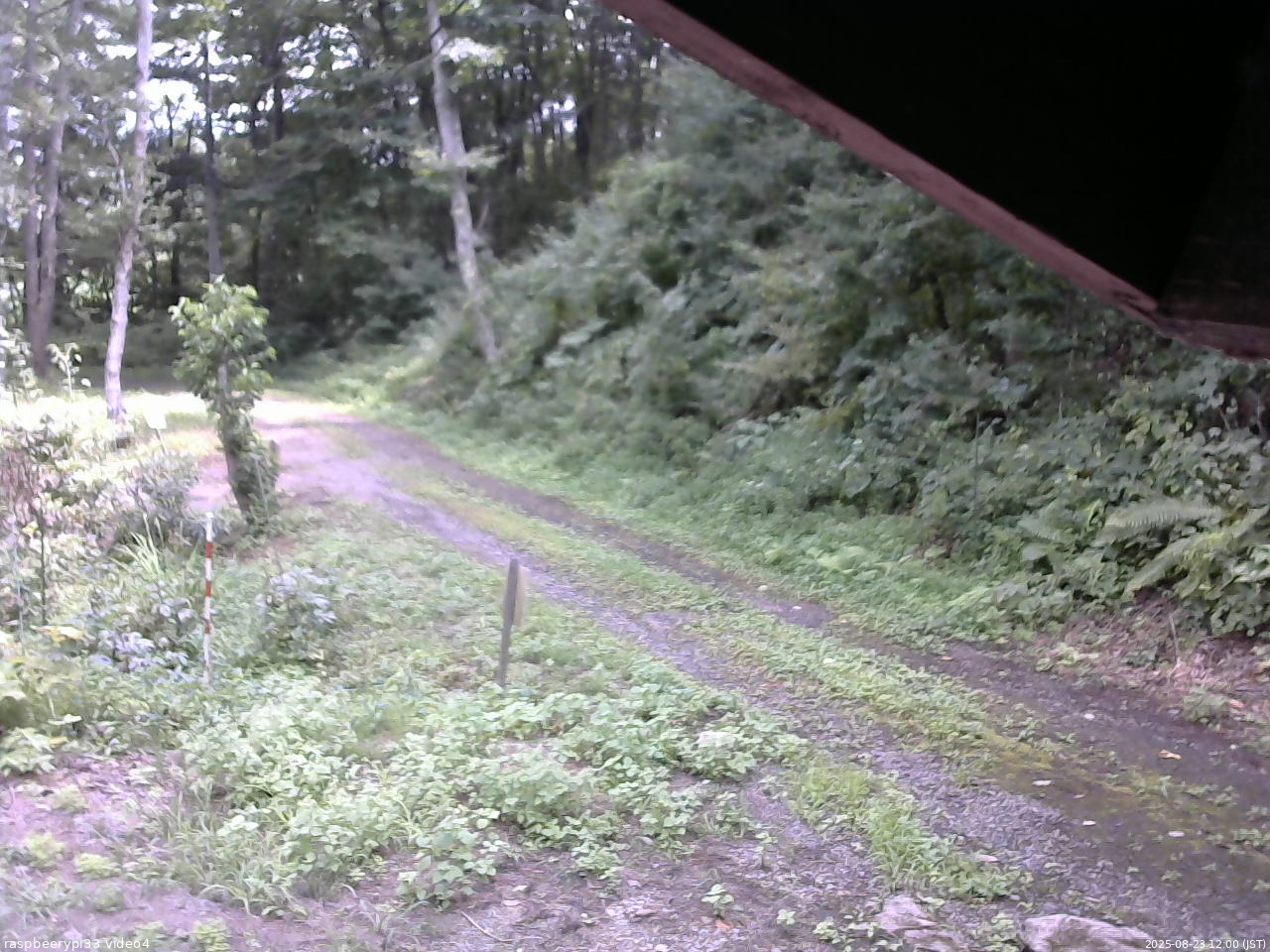 長野県菅平高原 ゆたか山荘 東側(坂下) 2025/08/23 12:00