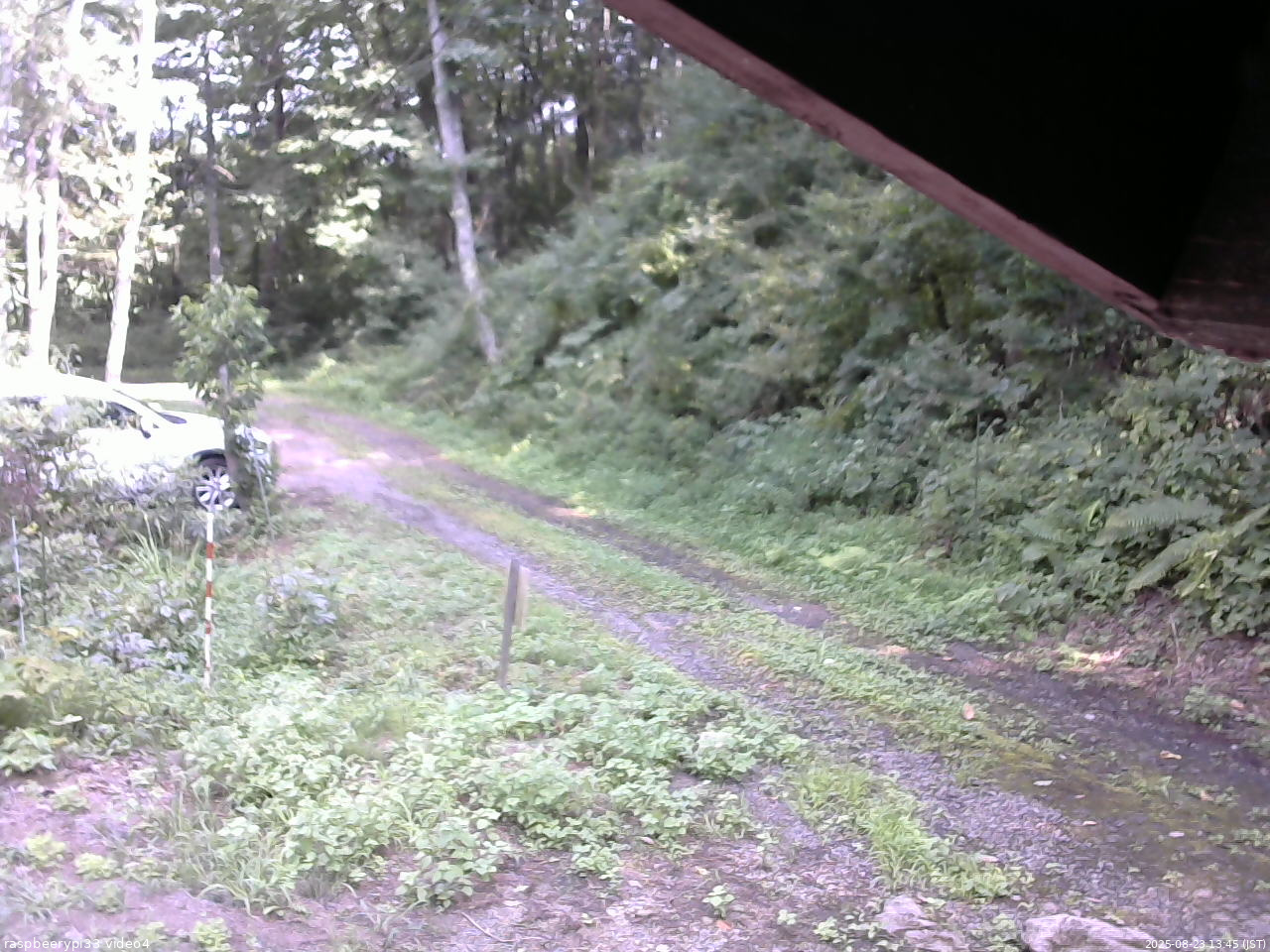 長野県菅平高原 ゆたか山荘 東側(坂下) 2025/08/23 13:45
