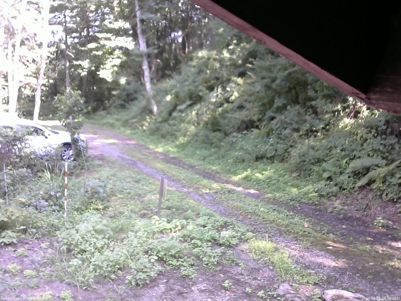 長野県菅平高原 ゆたか山荘 東側(坂下) 2025/08/23 14:00
