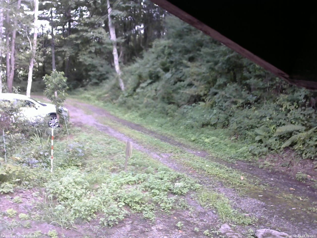 長野県菅平高原 ゆたか山荘 東側(坂下) 2025/08/23 14:30