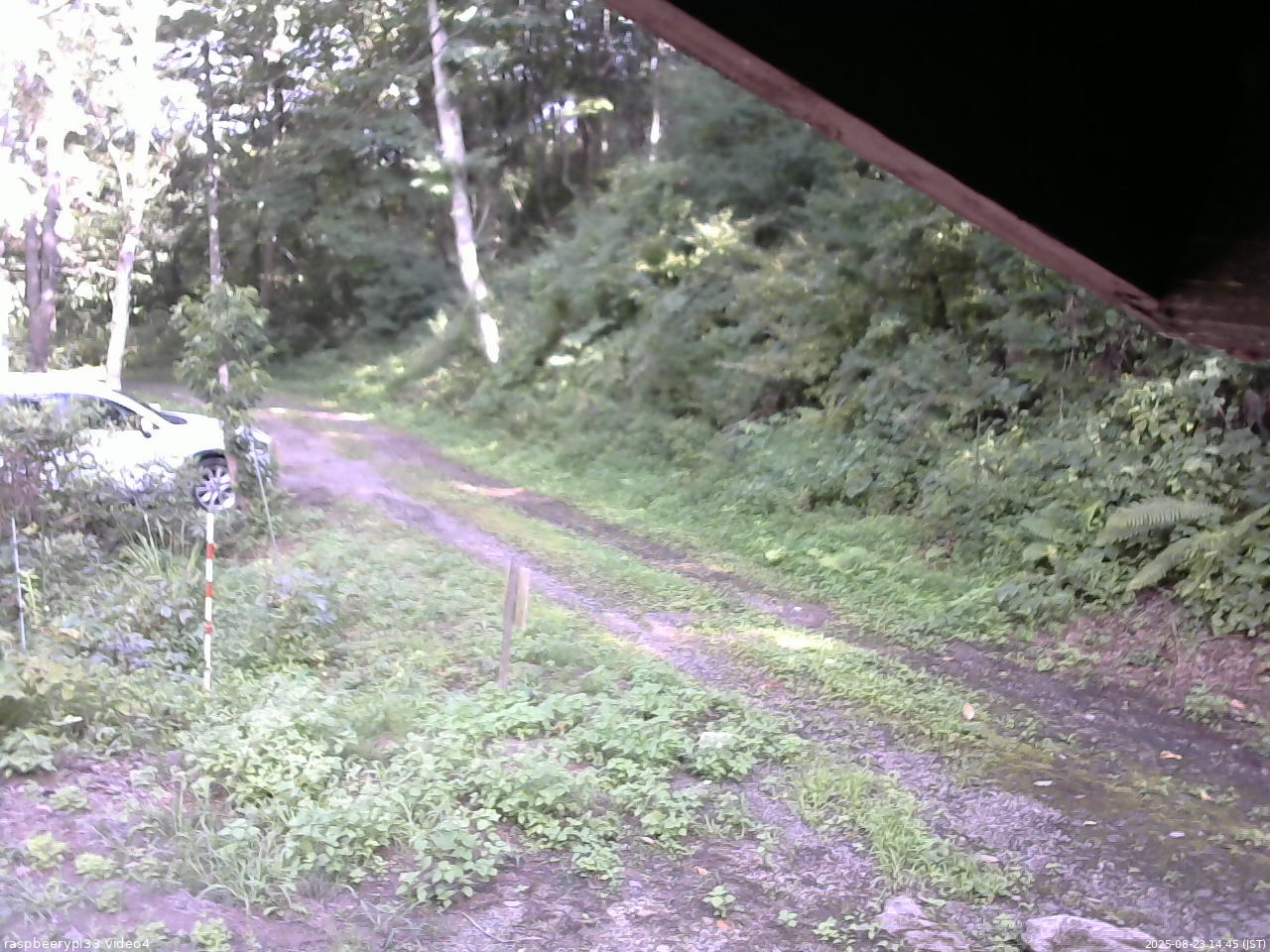 長野県菅平高原 ゆたか山荘 東側(坂下) 2025/08/23 14:45