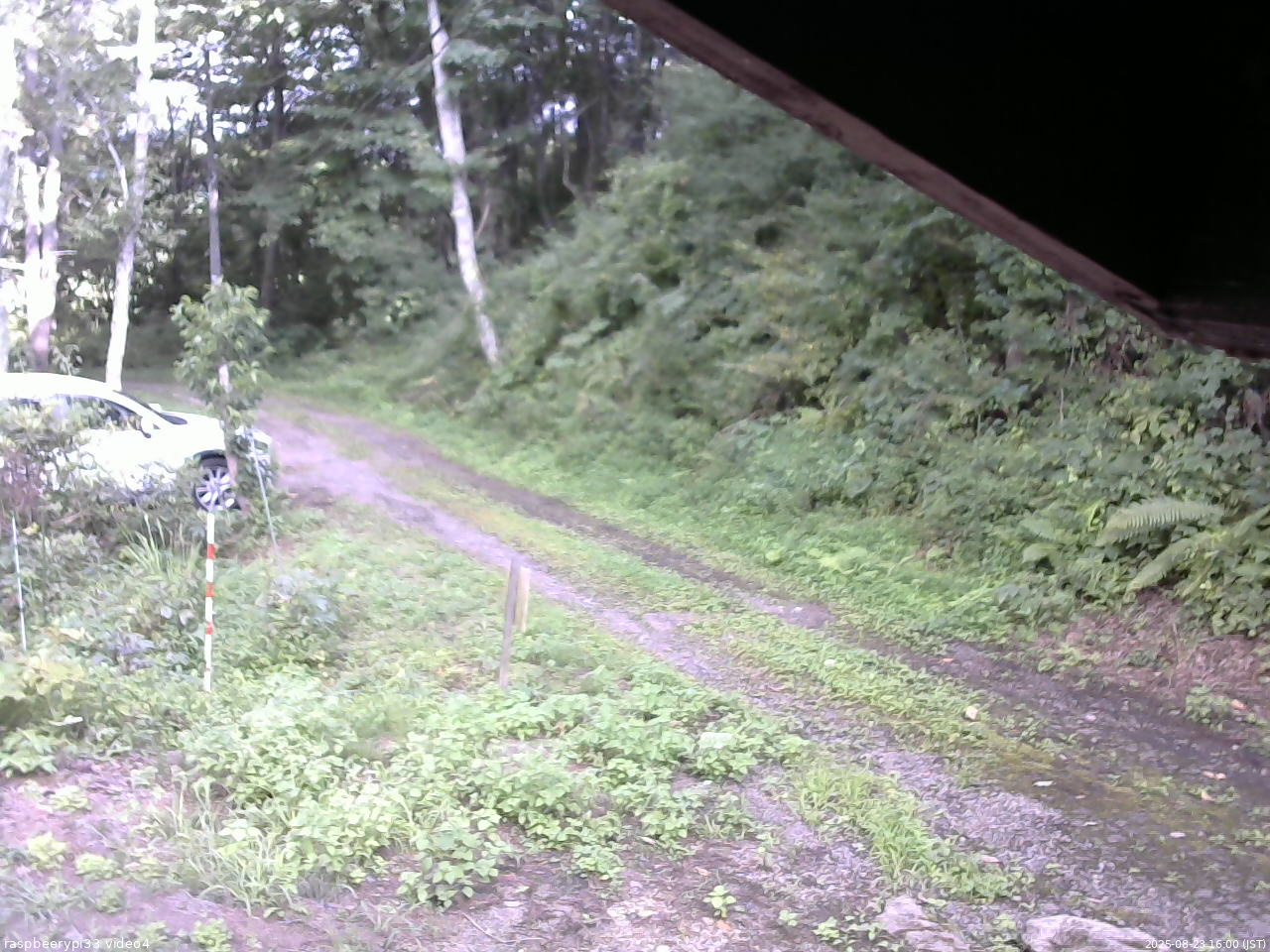 長野県菅平高原 ゆたか山荘 東側(坂下) 2025/08/23 16:00