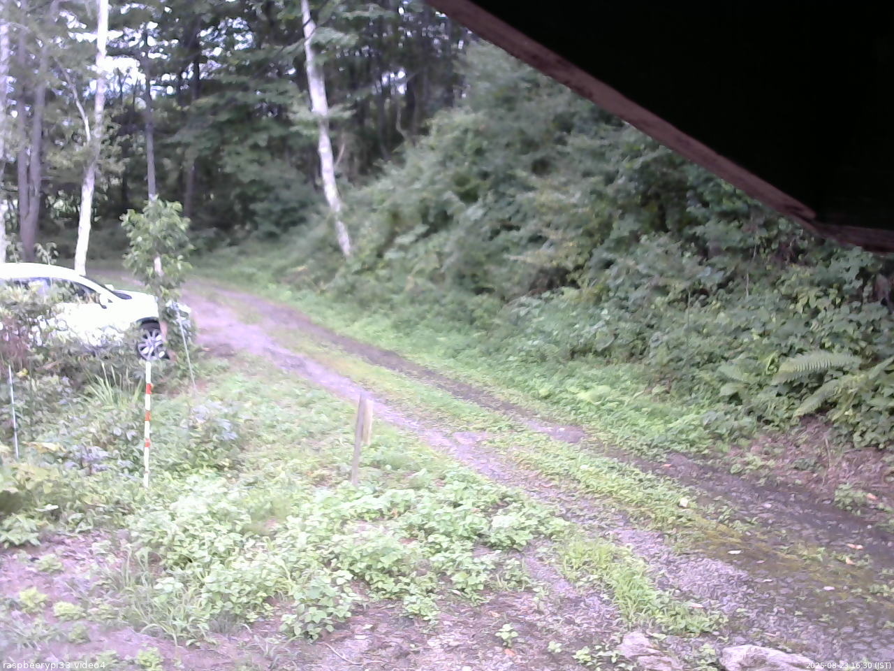 長野県菅平高原 ゆたか山荘 東側(坂下) 2025/08/23 16:30
