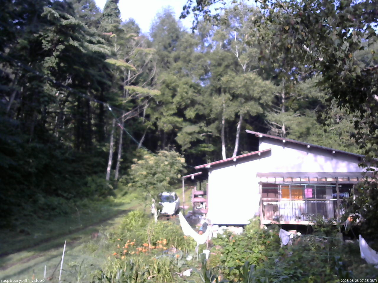 長野県菅平高原 ゆたか山荘 西側(坂上) 2025/08/23 07:15