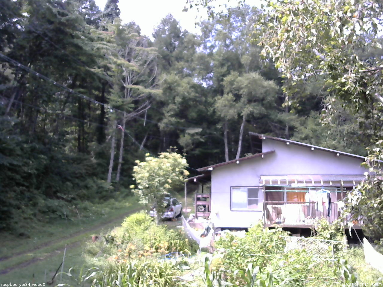 長野県菅平高原 ゆたか山荘 西側(坂上) 2025/08/23 10:45