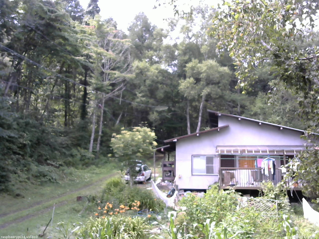 長野県菅平高原 ゆたか山荘 西側(坂上) 2025/08/23 12:00