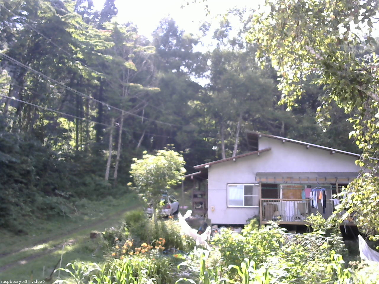 長野県菅平高原 ゆたか山荘 西側(坂上) 2025/08/23 14:45