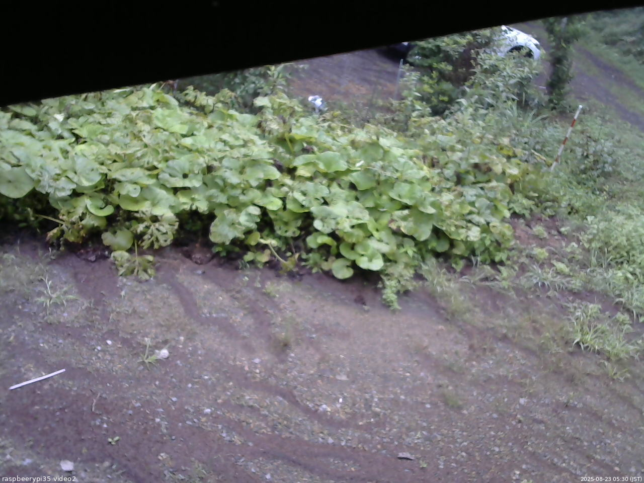 長野県菅平高原 ゆたか山荘 駐車場 2025/08/23 05:30