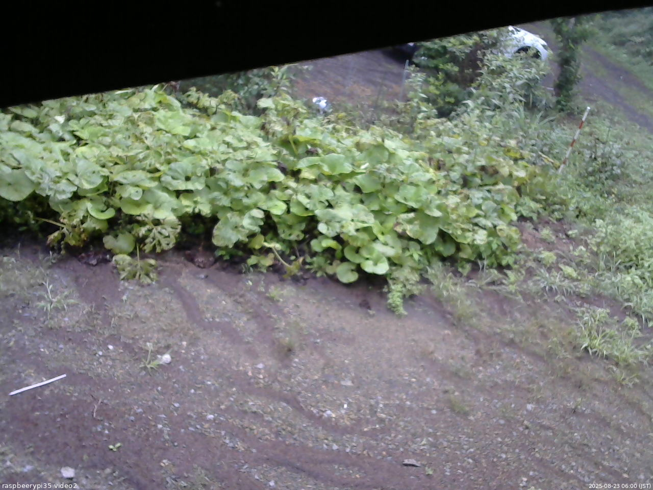 長野県菅平高原 ゆたか山荘 駐車場 2025/08/23 06:00