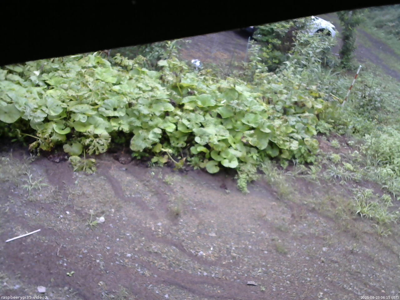 長野県菅平高原 ゆたか山荘 駐車場 2025/08/23 06:15