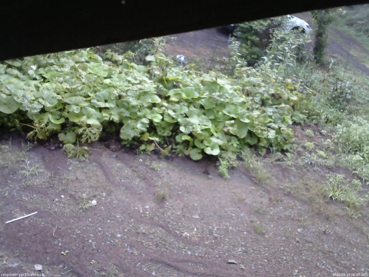 長野県菅平高原 ゆたか山荘 駐車場 2025/08/23 06:45