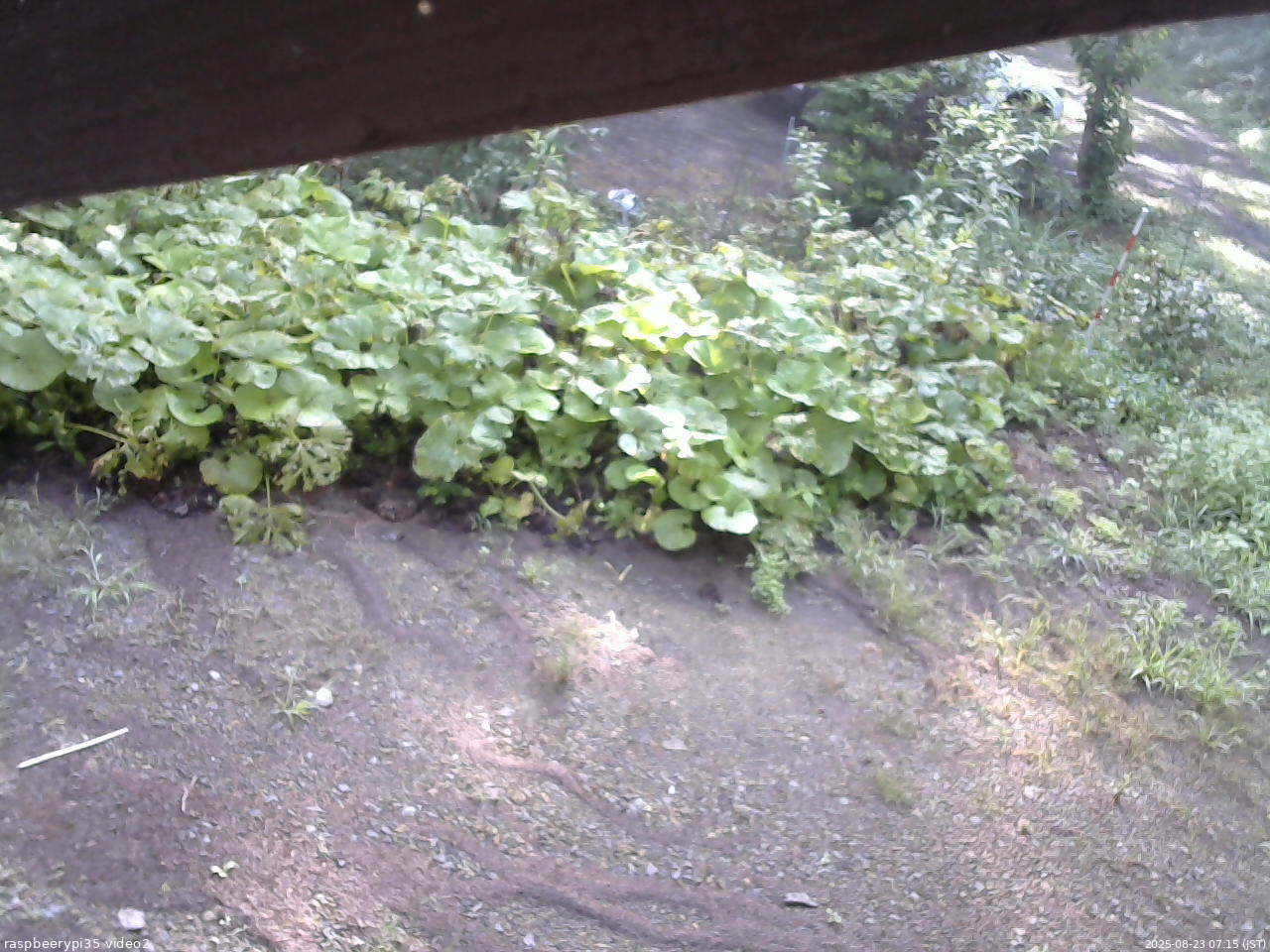 長野県菅平高原 ゆたか山荘 駐車場 2025/08/23 07:15
