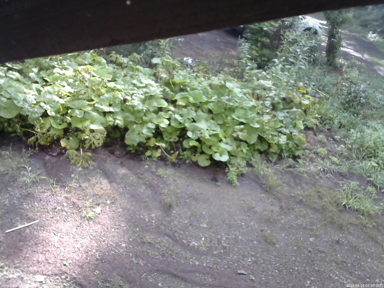 長野県菅平高原 ゆたか山荘 駐車場 2025/08/23 07:30