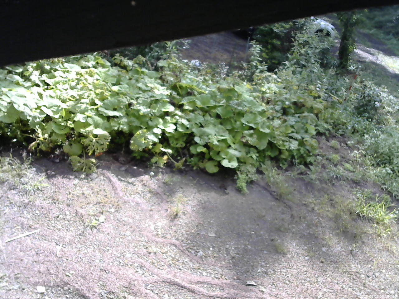 長野県菅平高原 ゆたか山荘 駐車場 2025/08/23 08:15
