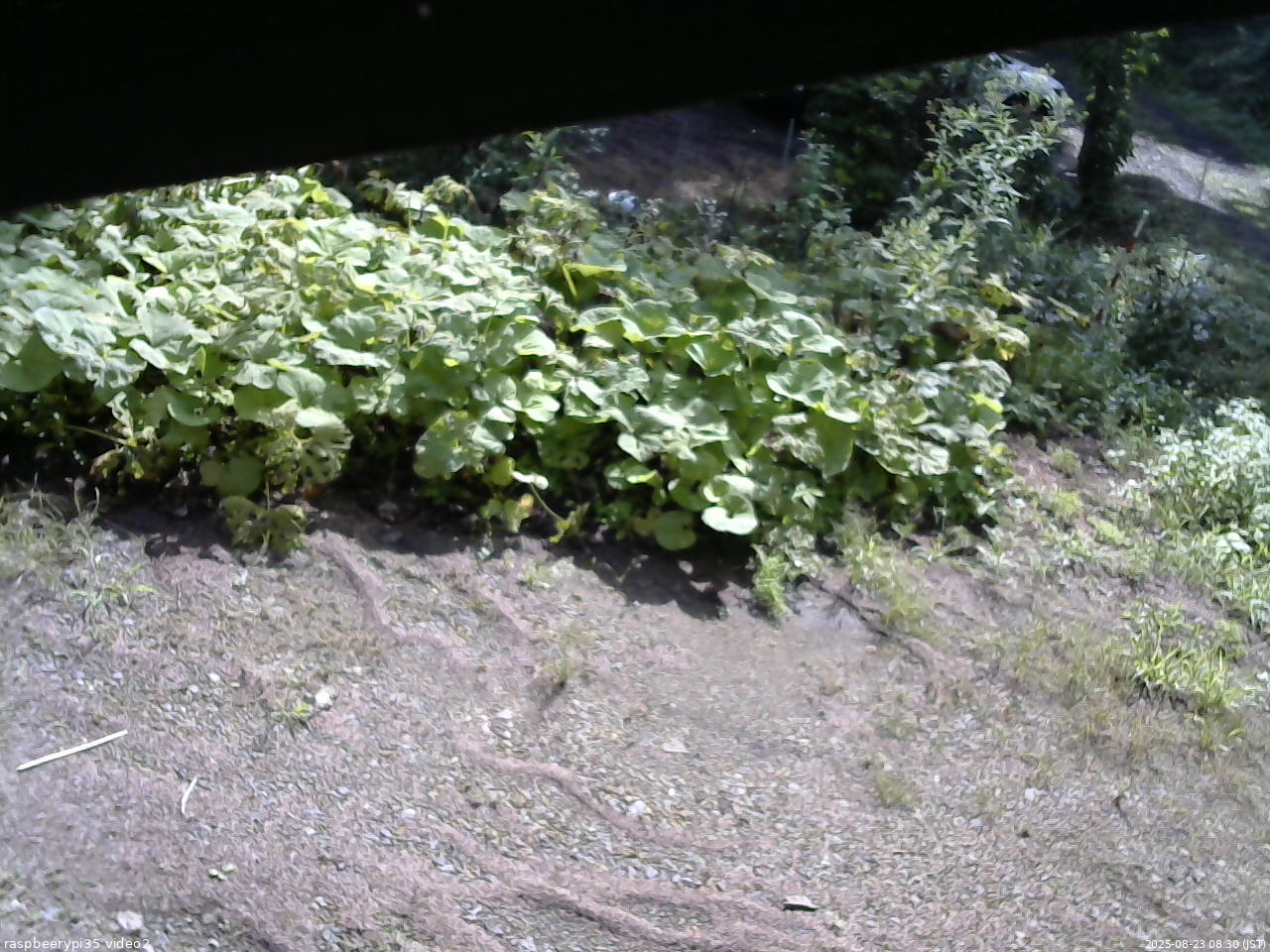 長野県菅平高原 ゆたか山荘 駐車場 2025/08/23 08:30