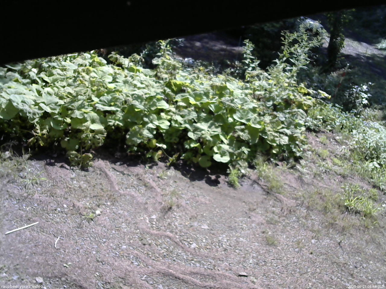 長野県菅平高原 ゆたか山荘 駐車場 2025/08/23 08:45