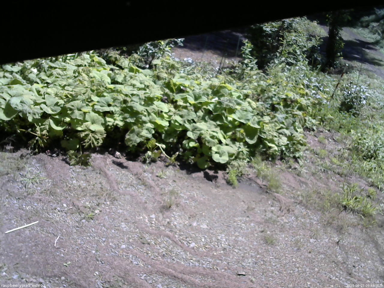 長野県菅平高原 ゆたか山荘 駐車場 2025/08/23 09:45