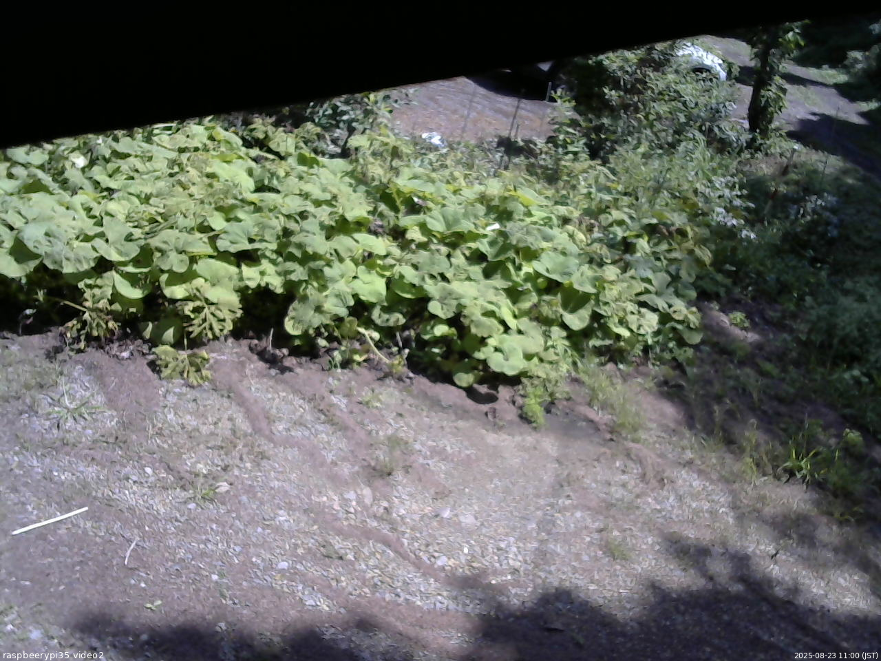 長野県菅平高原 ゆたか山荘 駐車場 2025/08/23 11:00